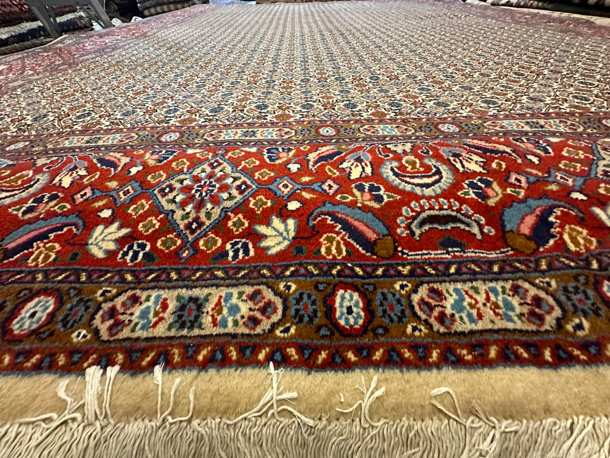 Persian Mud fish design Pure wool pile hand knotted rug from Iran 348cmx250cm