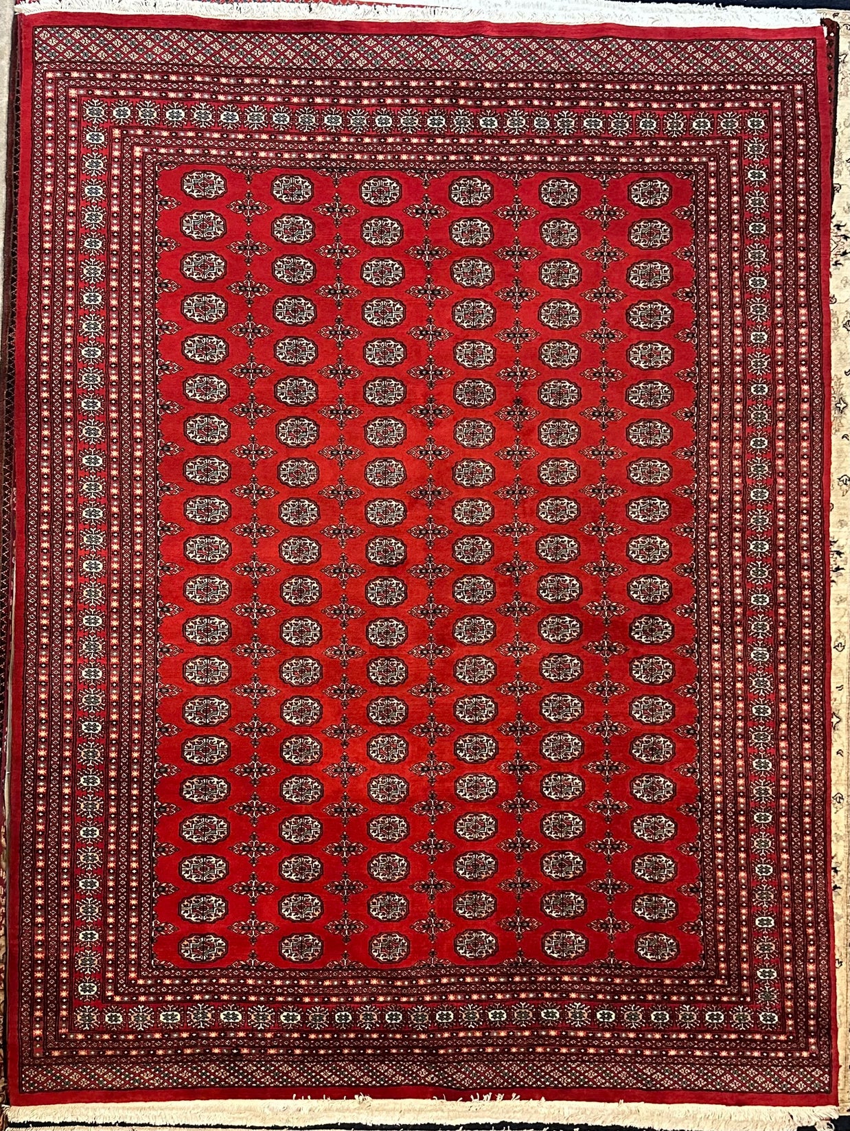 Princess Bohkara New Zealand wool hand knotted rug 336cm x 245cm