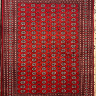 Princess Bohkara New Zealand wool hand knotted rug 336cm x 245cm
