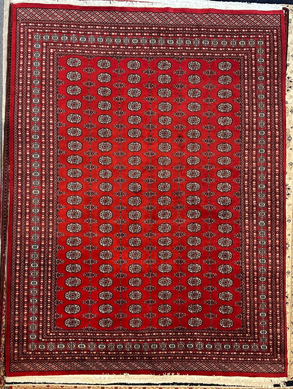 Princess Bohkara New Zealand wool hand knotted rug 336cm x 245cm