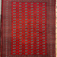 Princess Bohkara New Zealand wool hand knotted rug 336cm x 245cm
