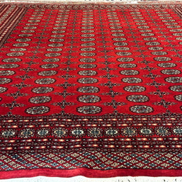 Princess Bohkara New Zealand wool hand knotted rug 336cm x 245cm