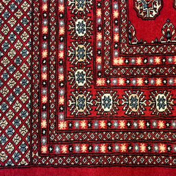 Princess Bohkara New Zealand wool hand knotted rug 336cm x 245cm