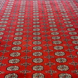 Princess Bohkara New Zealand wool hand knotted rug 336cm x 245cm