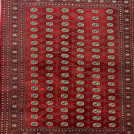 Princess Bohkara NZ wool Hand Knotted Rug 298cm X 252cm