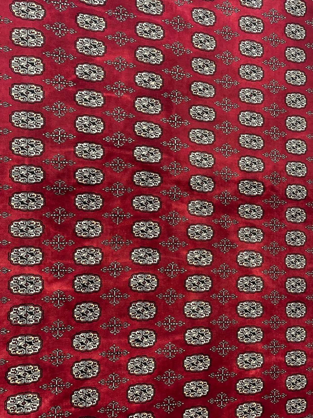 Princess Bohkara NZ wool Hand Knotted Rug 298cm X 252cm