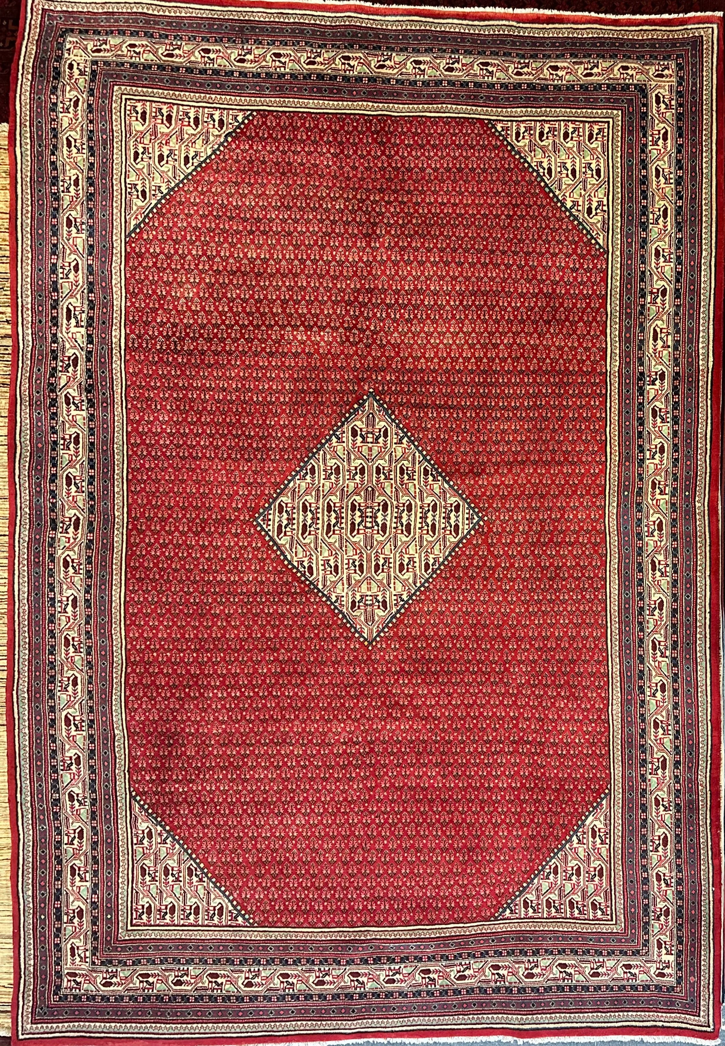 Persian Sarband Pure Wool Pile Hand Knotted Rug 330cm X 225cm