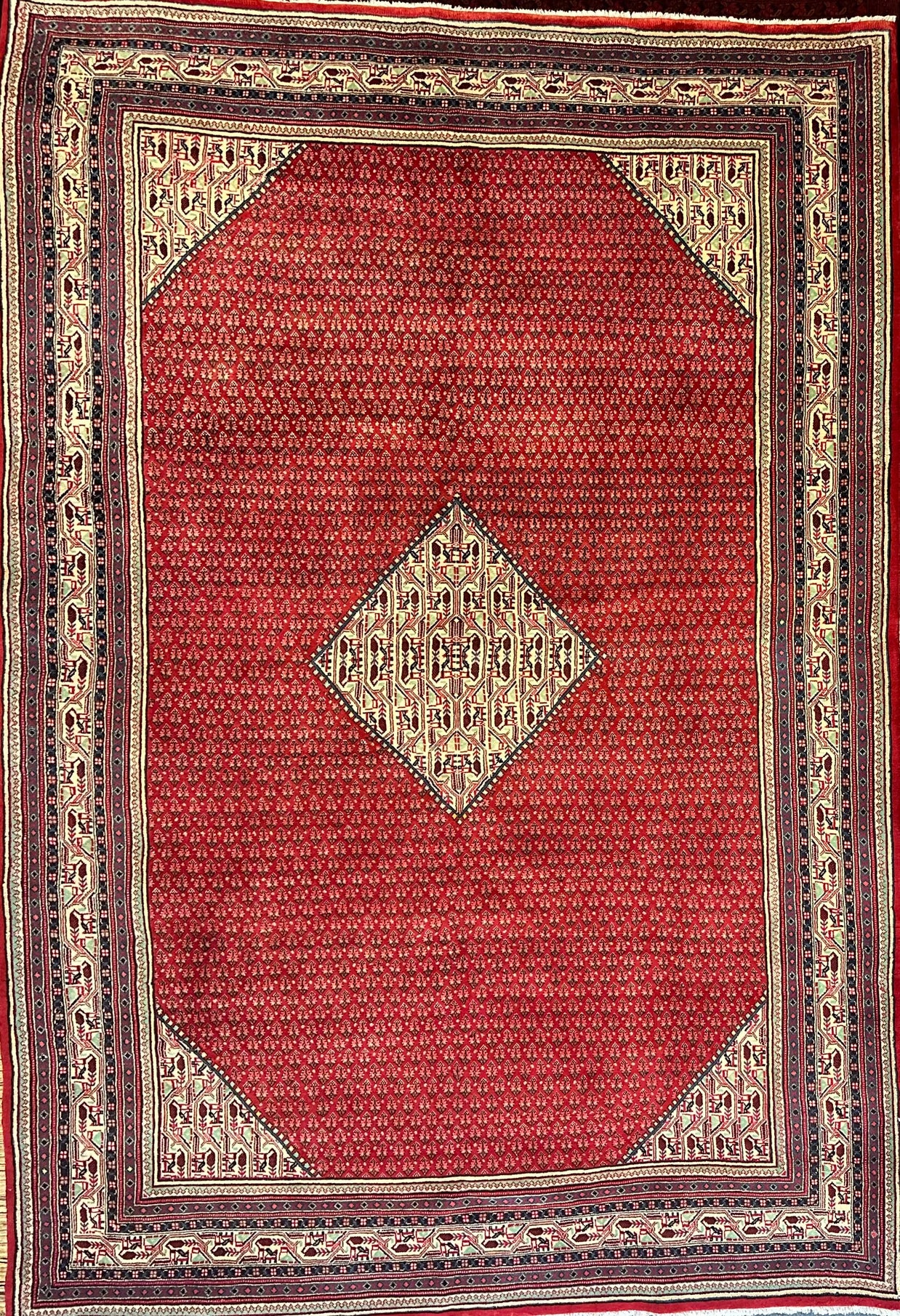 Persian Sarband Pure Wool Pile Hand Knotted Rug 330cm X 225cm
