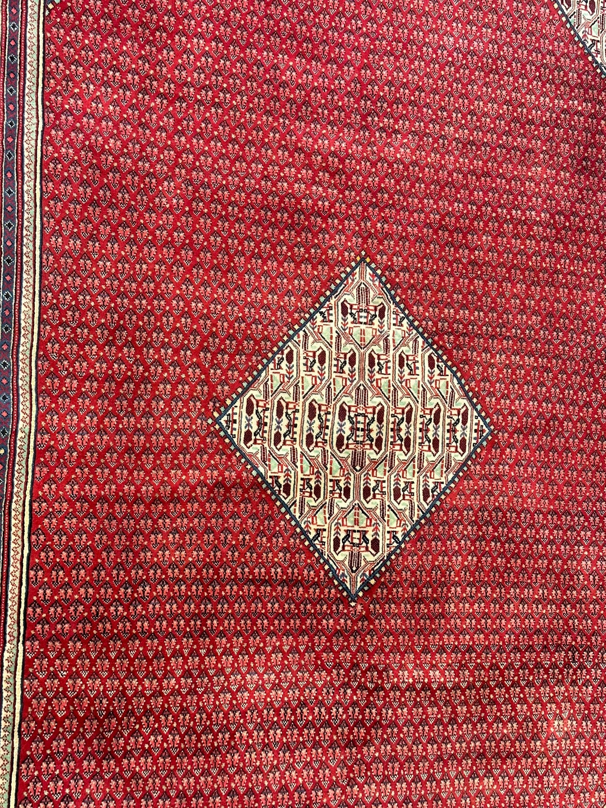 Persian Sarband Pure Wool Pile Hand Knotted Rug 330cm X 225cm