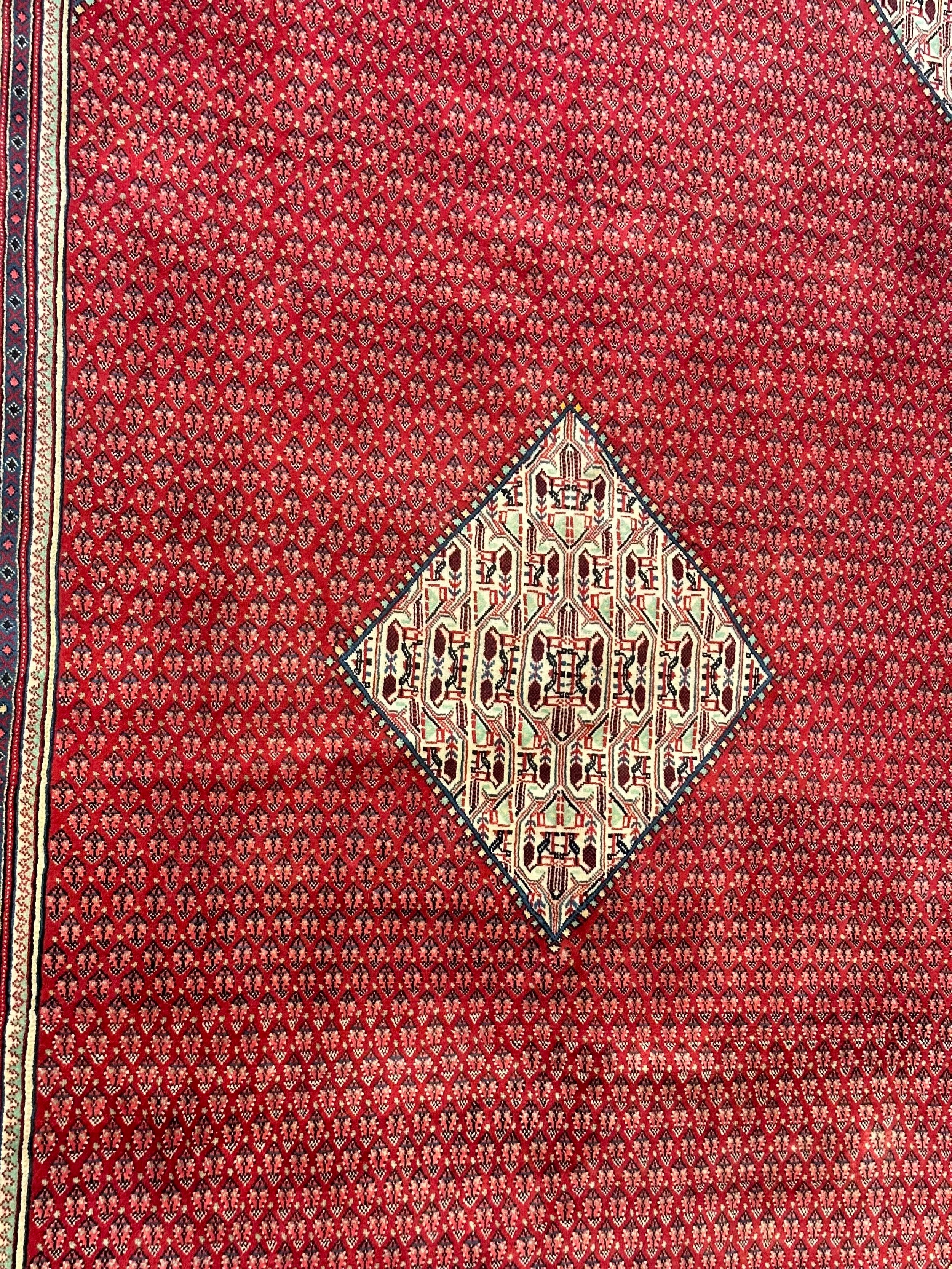 Persian Sarband Pure Wool Pile Hand Knotted Rug 330cm X 225cm