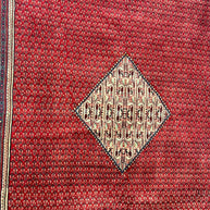 Persian Sarband Pure Wool Pile Hand Knotted Rug 330cm X 225cm