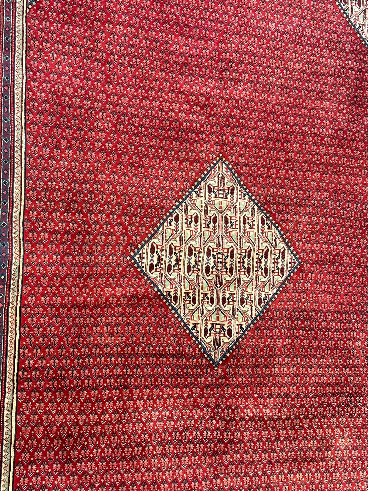 Persian Sarband Pure Wool Pile Hand Knotted Rug 330cm X 225cm