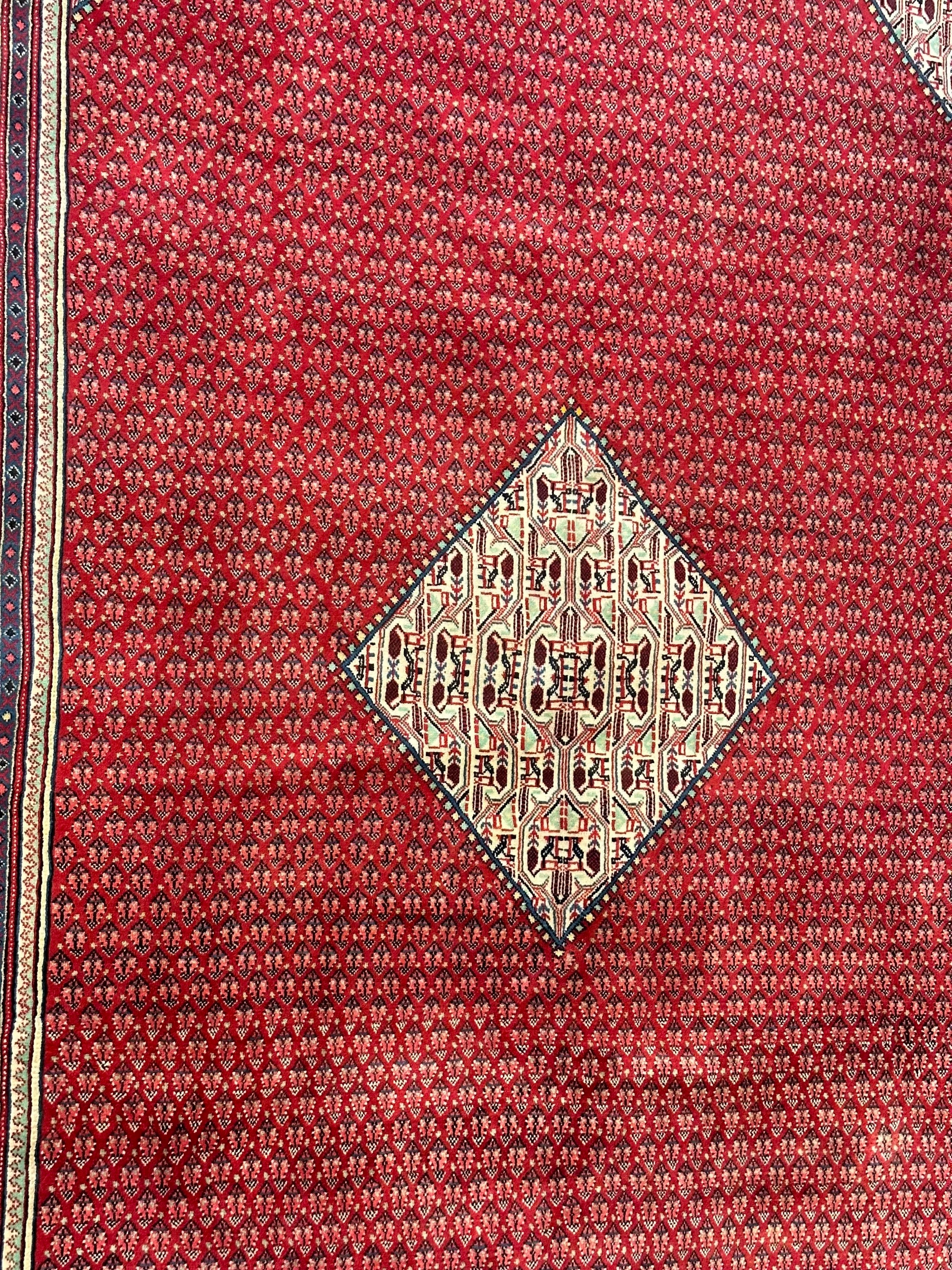 Persian Sarband Pure Wool Pile Hand Knotted Rug 330cm X 225cm