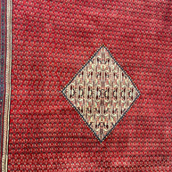 Persian Sarband Pure Wool Pile Hand Knotted Rug 330cm X 225cm