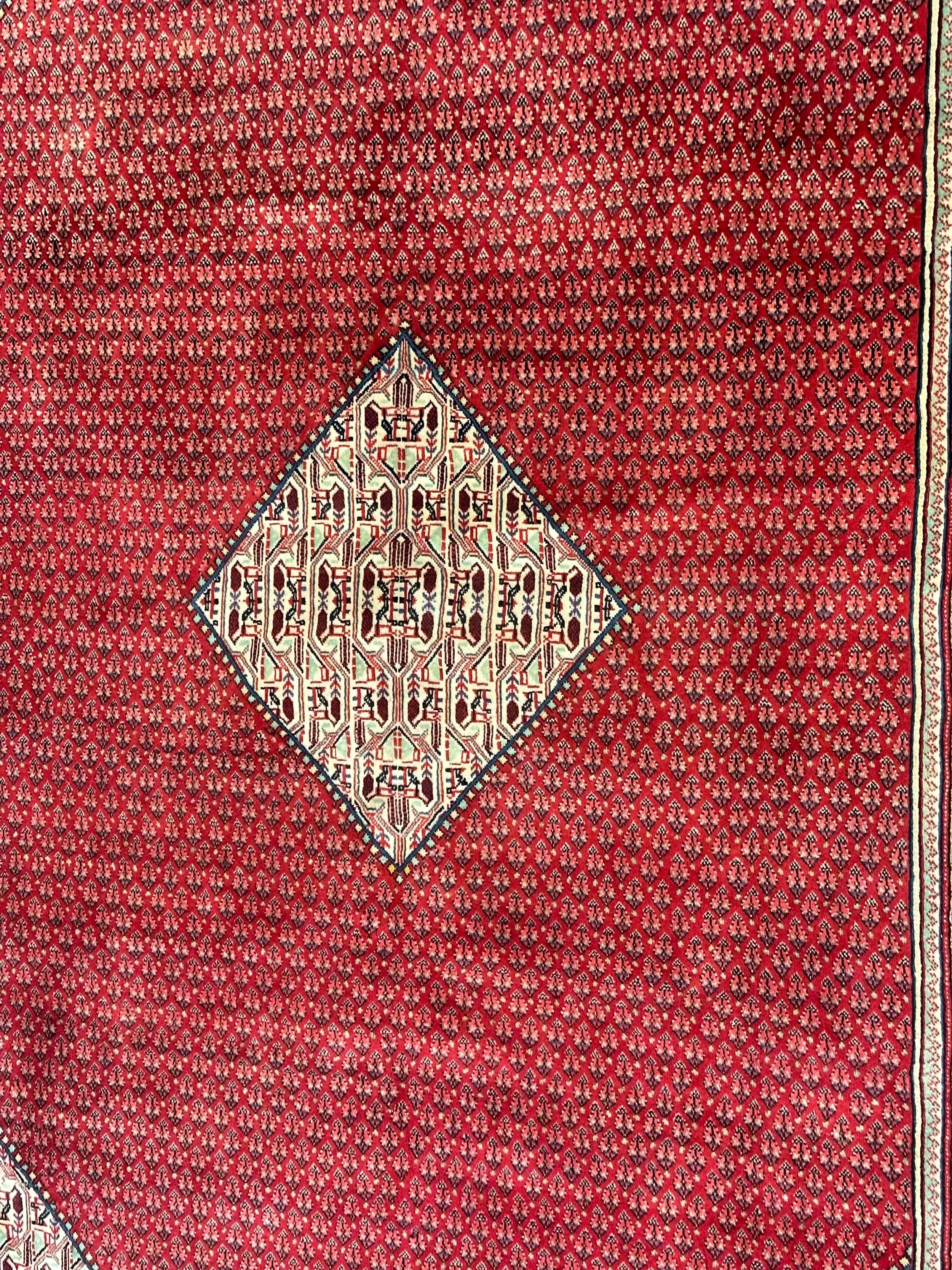 Persian Sarband Pure Wool Pile Hand Knotted Rug 330cm X 225cm