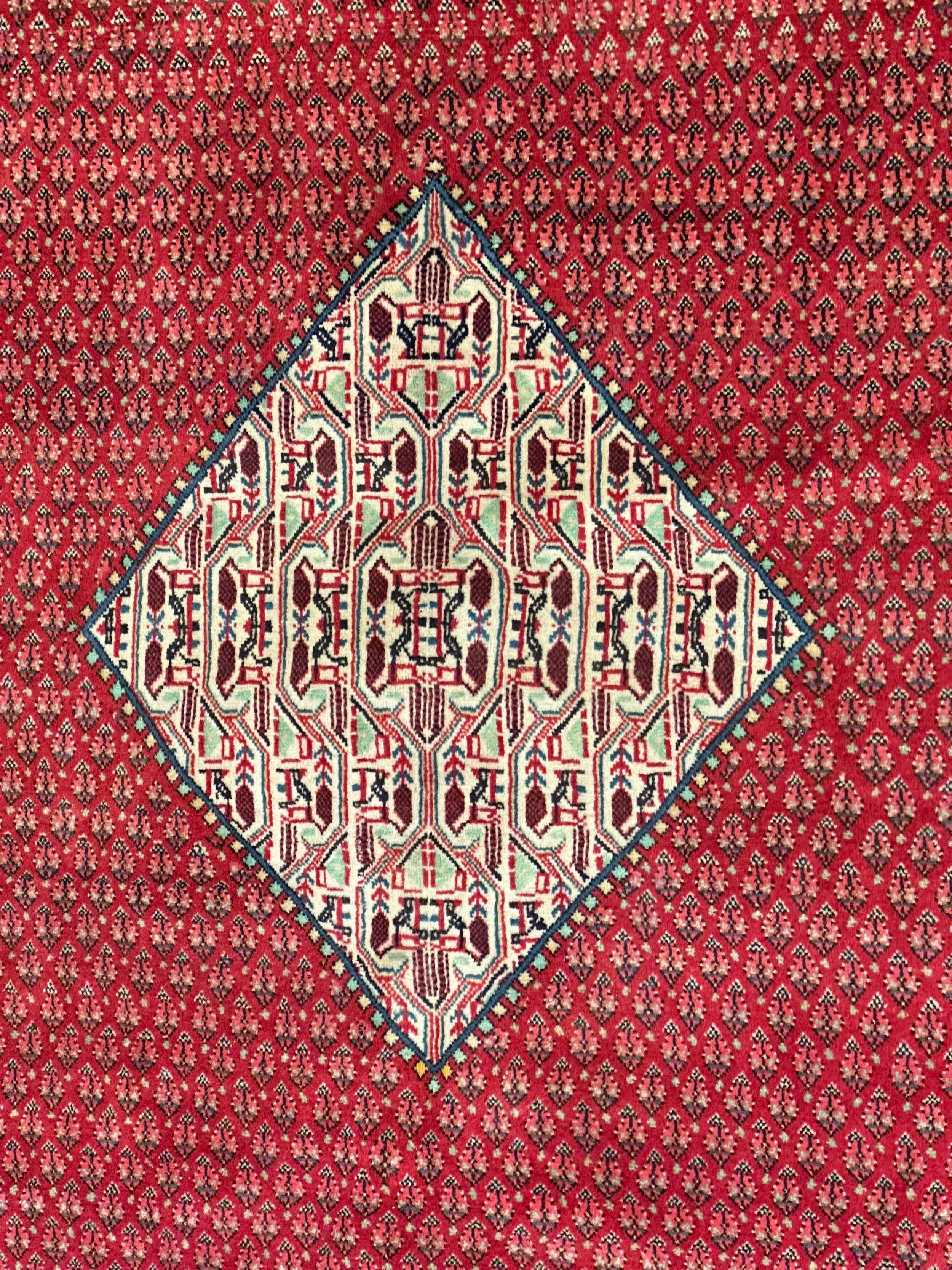 Persian Sarband Pure Wool Pile Hand Knotted Rug 330cm X 225cm