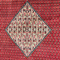 Persian Sarband Pure Wool Pile Hand Knotted Rug 330cm X 225cm