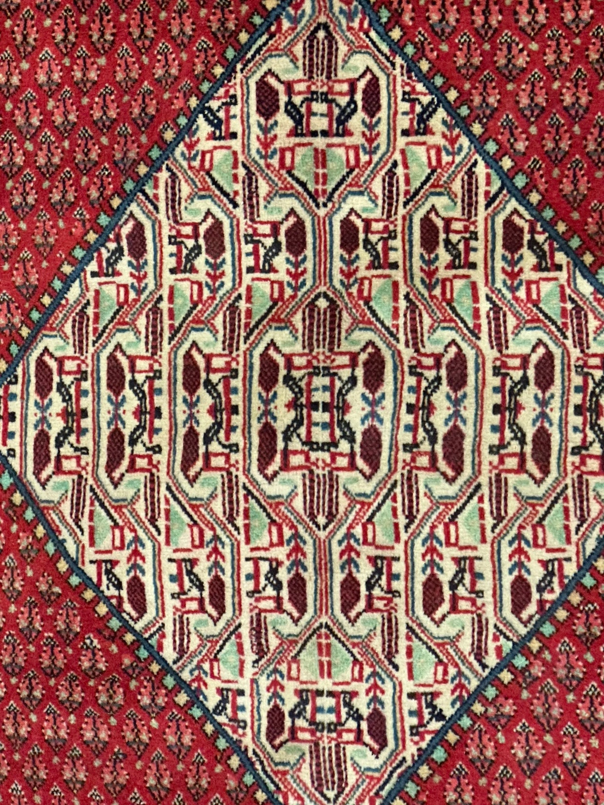 Persian Sarband Pure Wool Pile Hand Knotted Rug 330cm X 225cm
