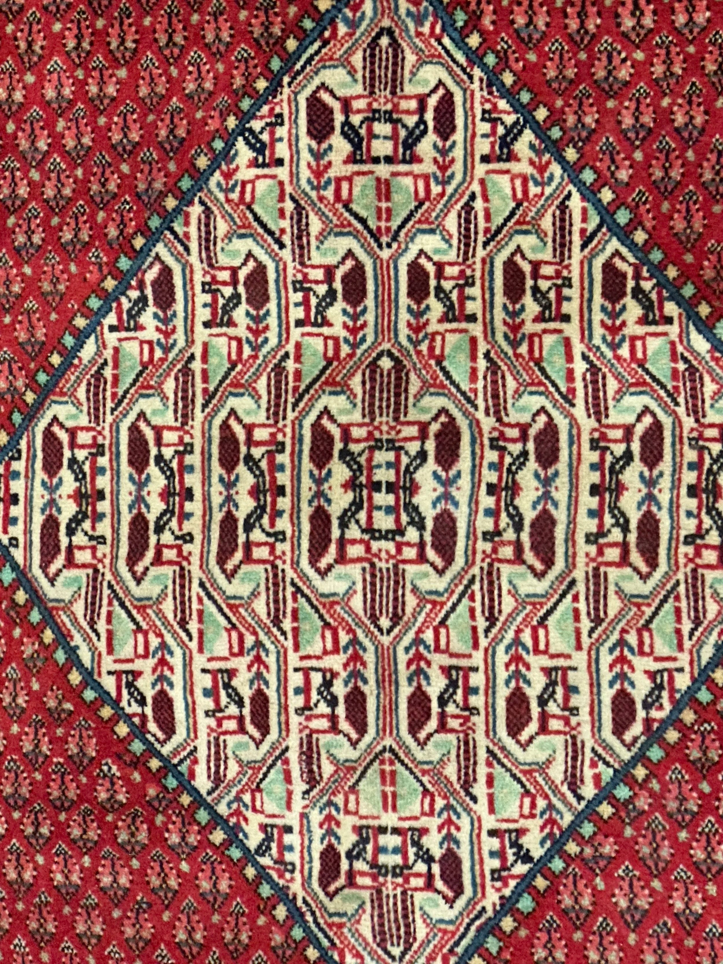 Persian Sarband Pure Wool Pile Hand Knotted Rug 330cm X 225cm