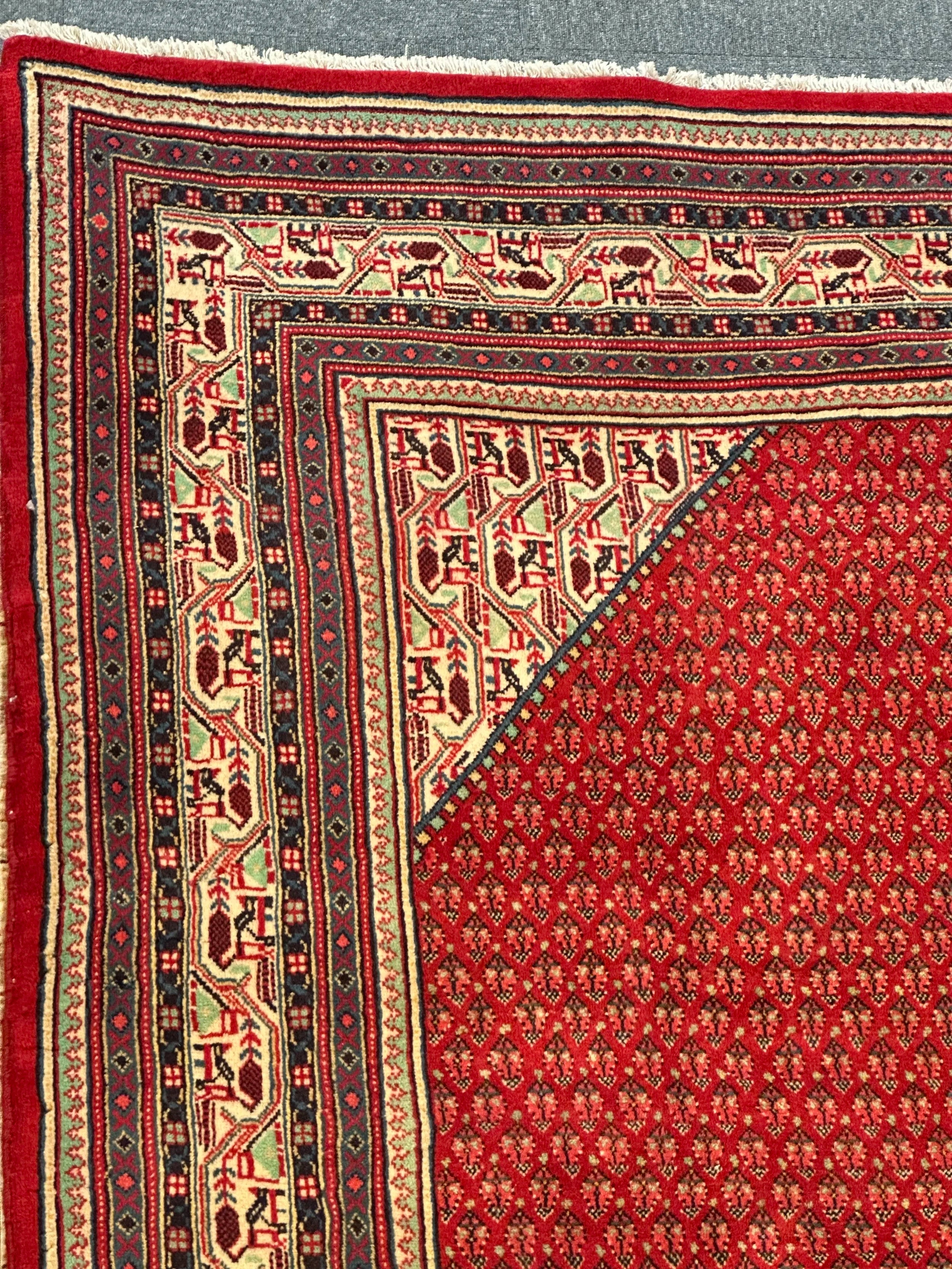 Persian Sarband Pure Wool Pile Hand Knotted Rug 330cm X 225cm