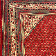 Persian Sarband Pure Wool Pile Hand Knotted Rug 330cm X 225cm