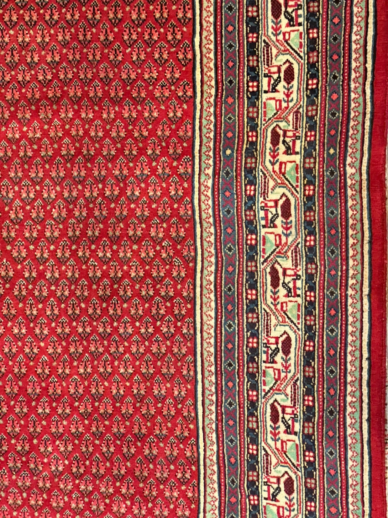 Persian Sarband Pure Wool Pile Hand Knotted Rug 330cm X 225cm