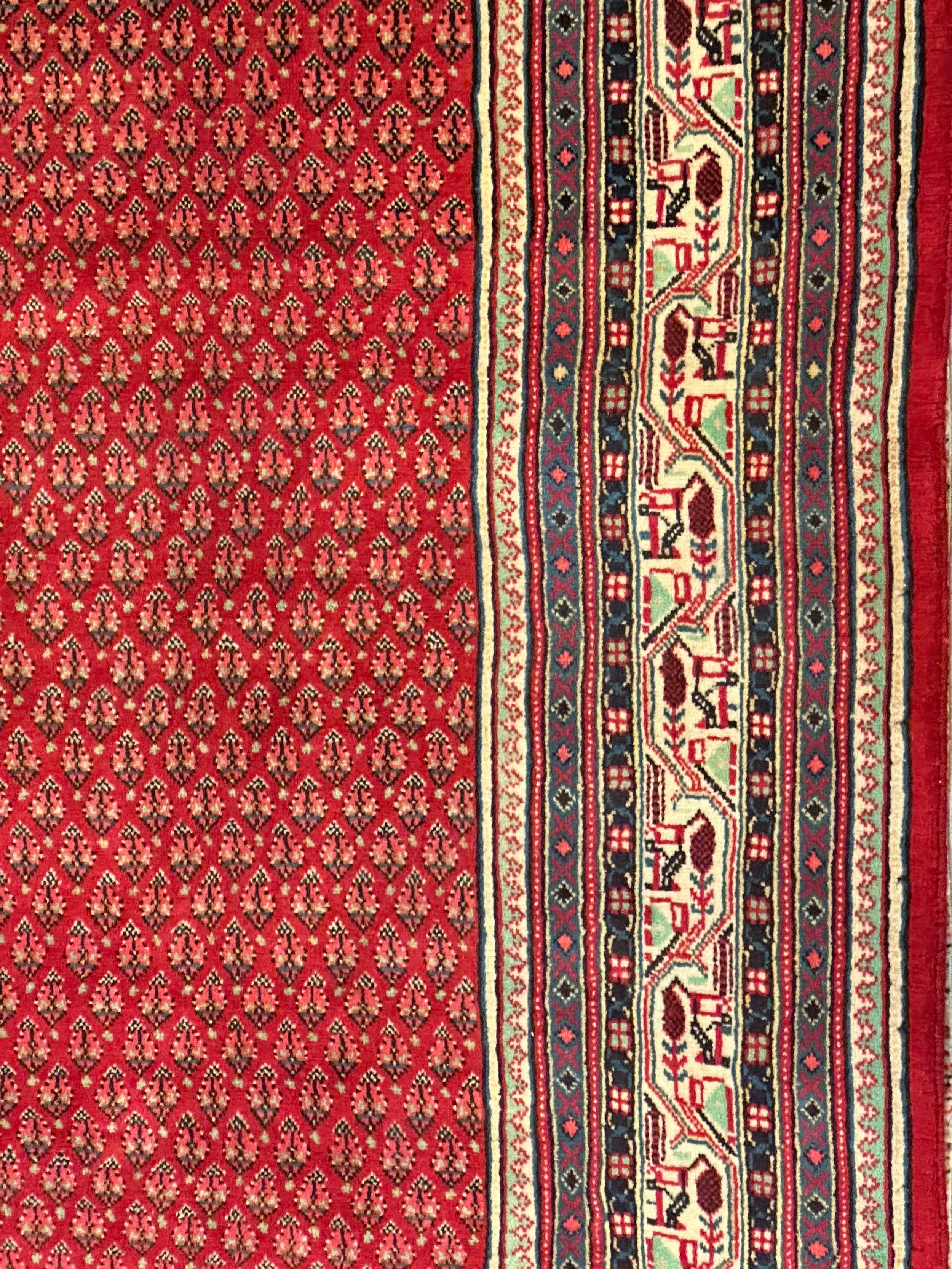 Persian Sarband Pure Wool Pile Hand Knotted Rug 330cm X 225cm