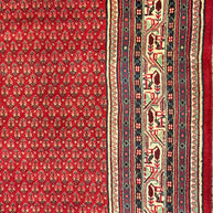 Persian Sarband Pure Wool Pile Hand Knotted Rug 330cm X 225cm
