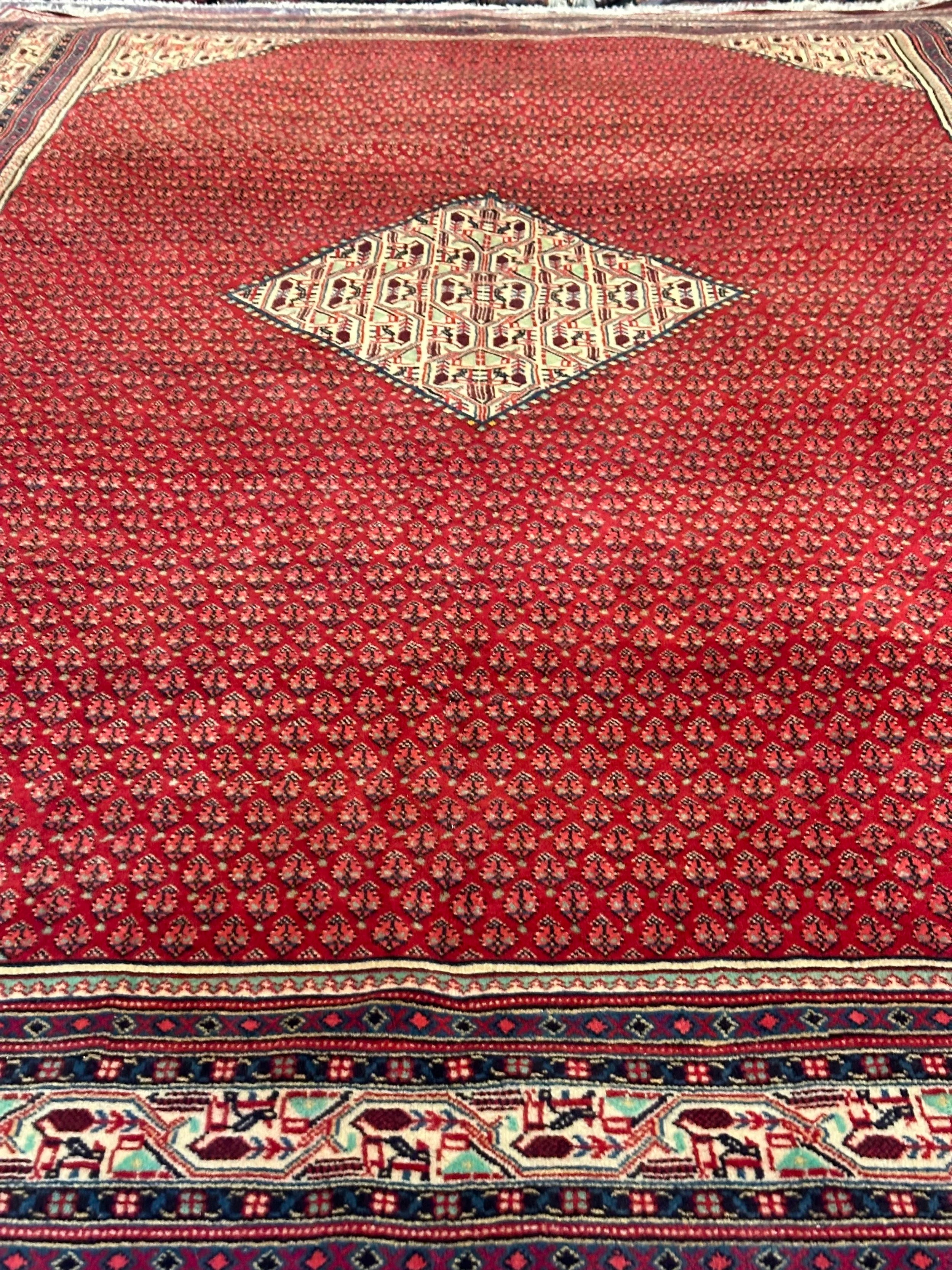 Persian Sarband Pure Wool Pile Hand Knotted Rug 330cm X 225cm