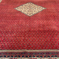Persian Sarband Pure Wool Pile Hand Knotted Rug 330cm X 225cm