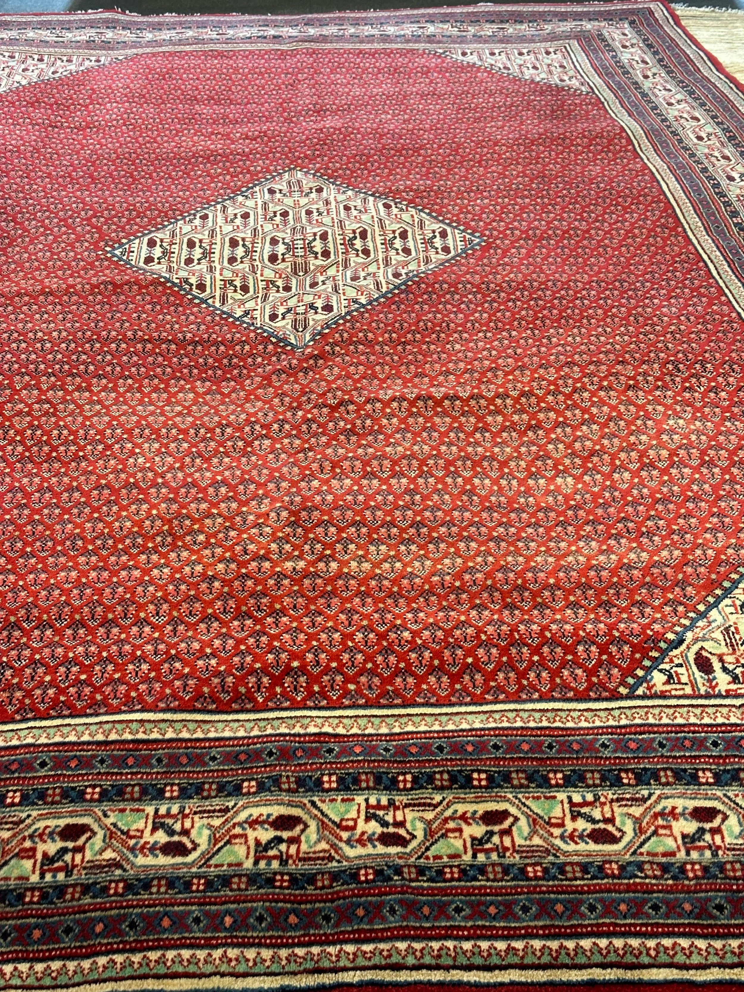 Persian Sarband Pure Wool Pile Hand Knotted Rug 330cm X 225cm