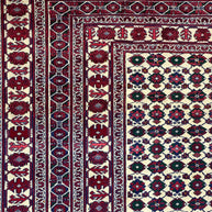 Fine Afghan Shakh Extremely fine hand woven Rug