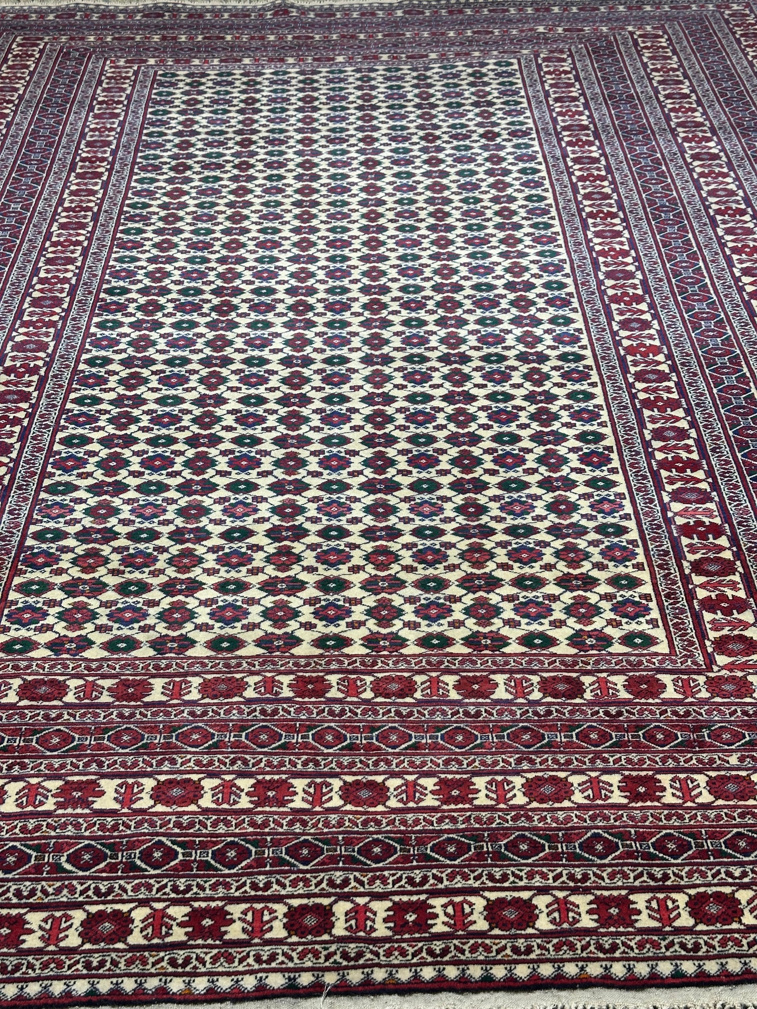Fine Afghan Shakh Extremely fine hand woven Rug