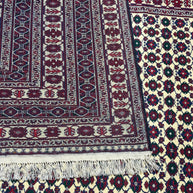 Fine Afghan Shakh Extremely fine hand woven Rug