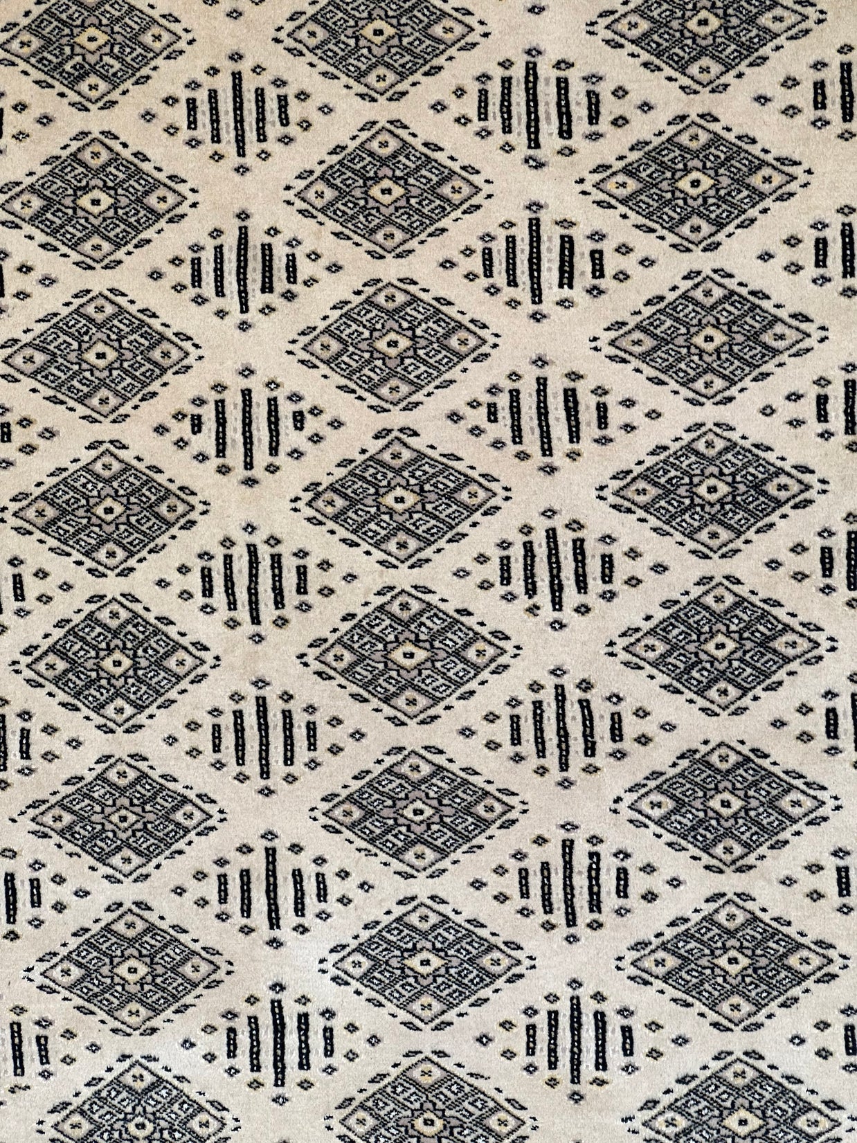 Fine Kashmiri Hand Knotted wool pile with silk highlights