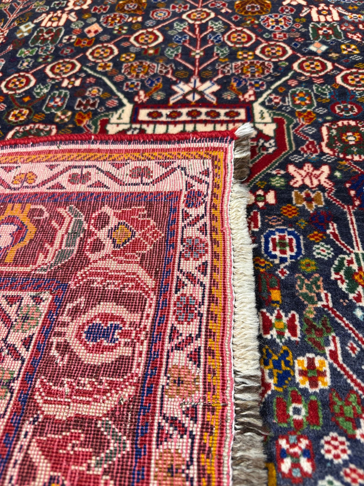 Hamadan Rug - 245 cm x 152 cm