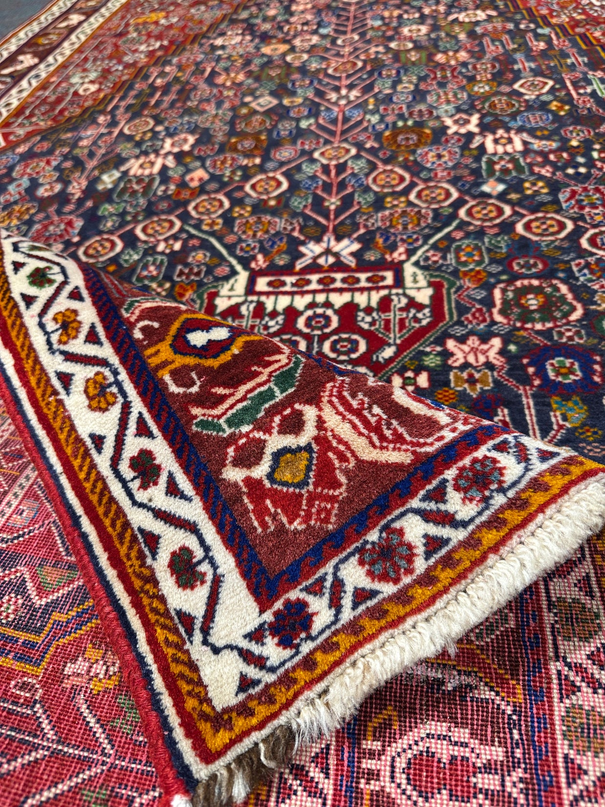 Hamadan Rug - 245 cm x 152 cm