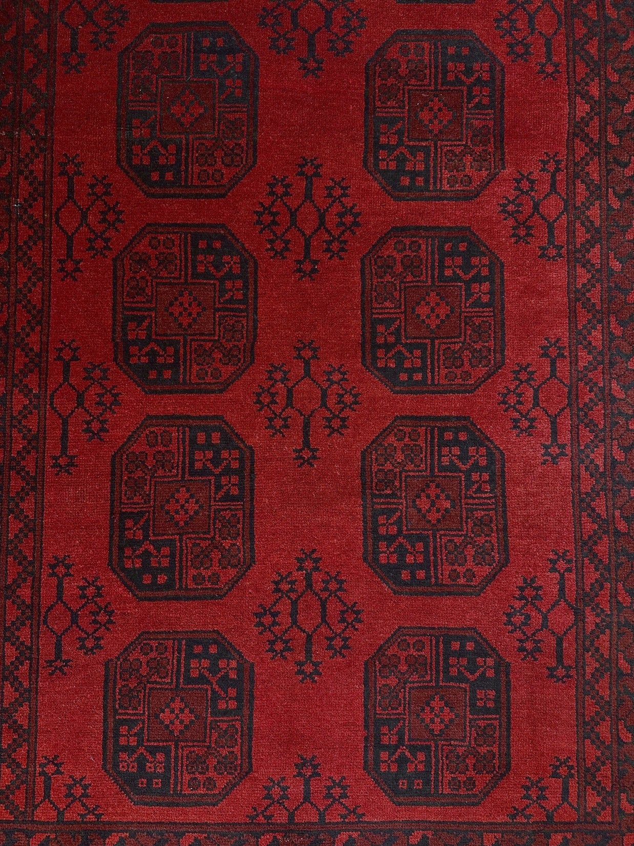 Turkoman Rug - 252 cm x 166 cm