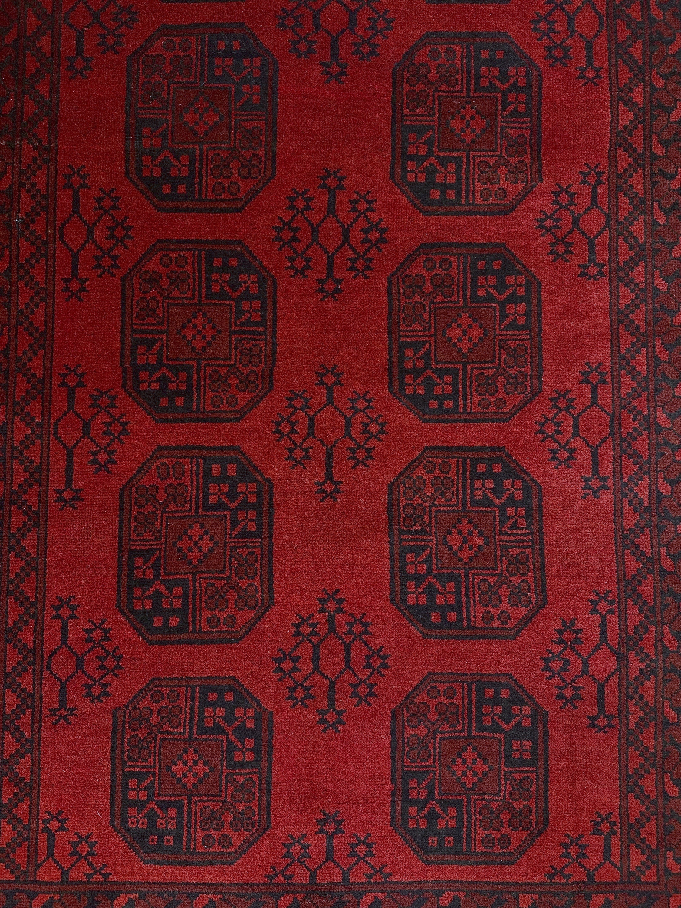 Turkoman Rug - 252 cm x 166 cm