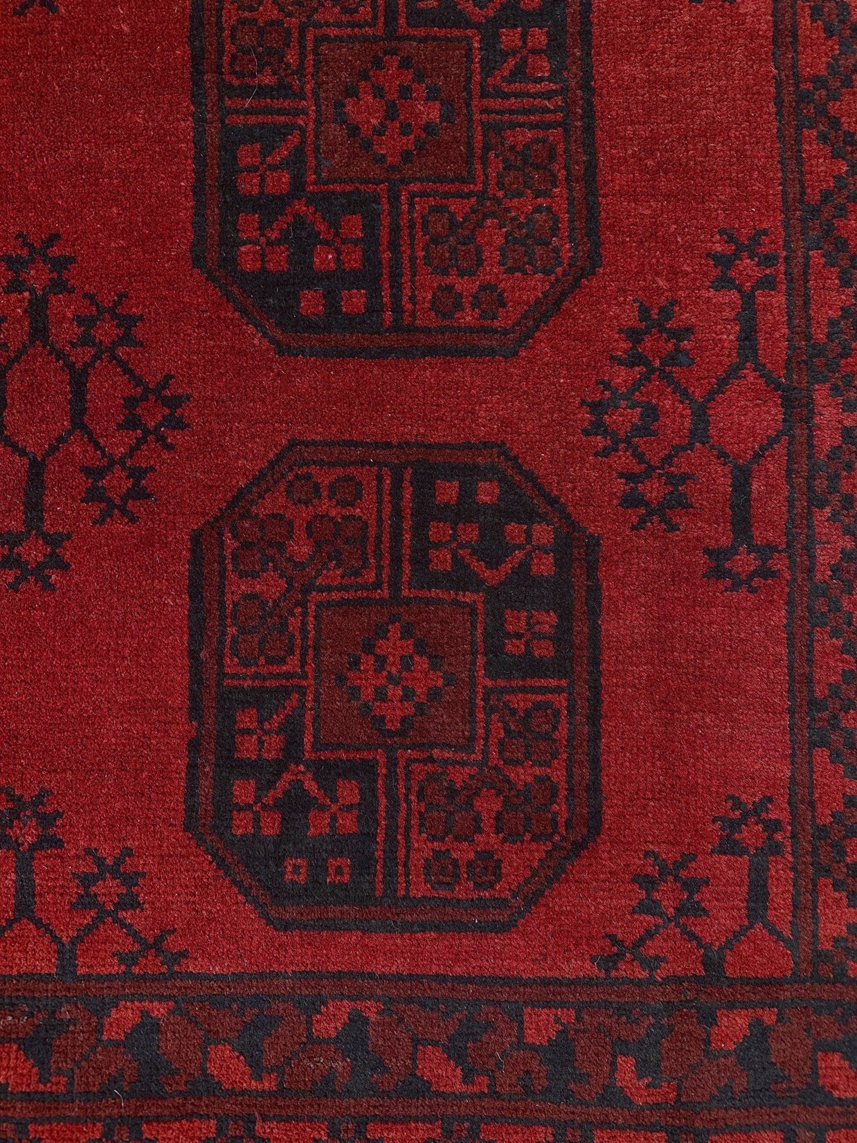 Turkoman Rug - 252 cm x 166 cm