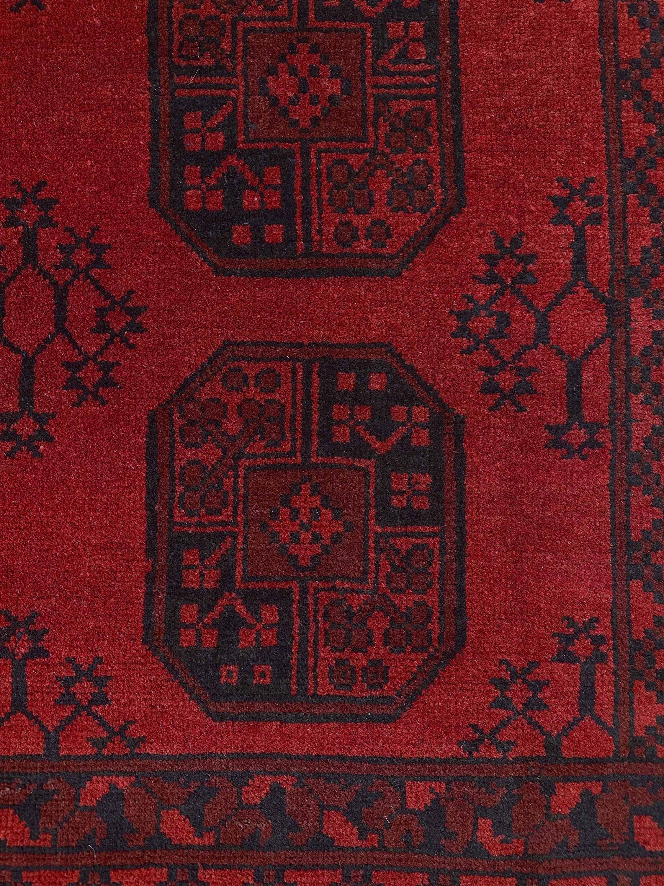 Turkoman Rug - 252 cm x 166 cm