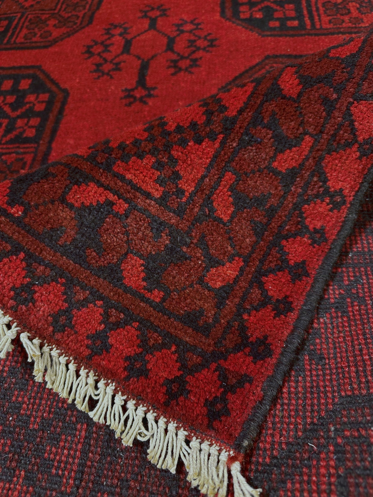 Turkoman Rug - 252 cm x 166 cm
