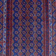 Roshnai Rug - 387 cm x 86 cm