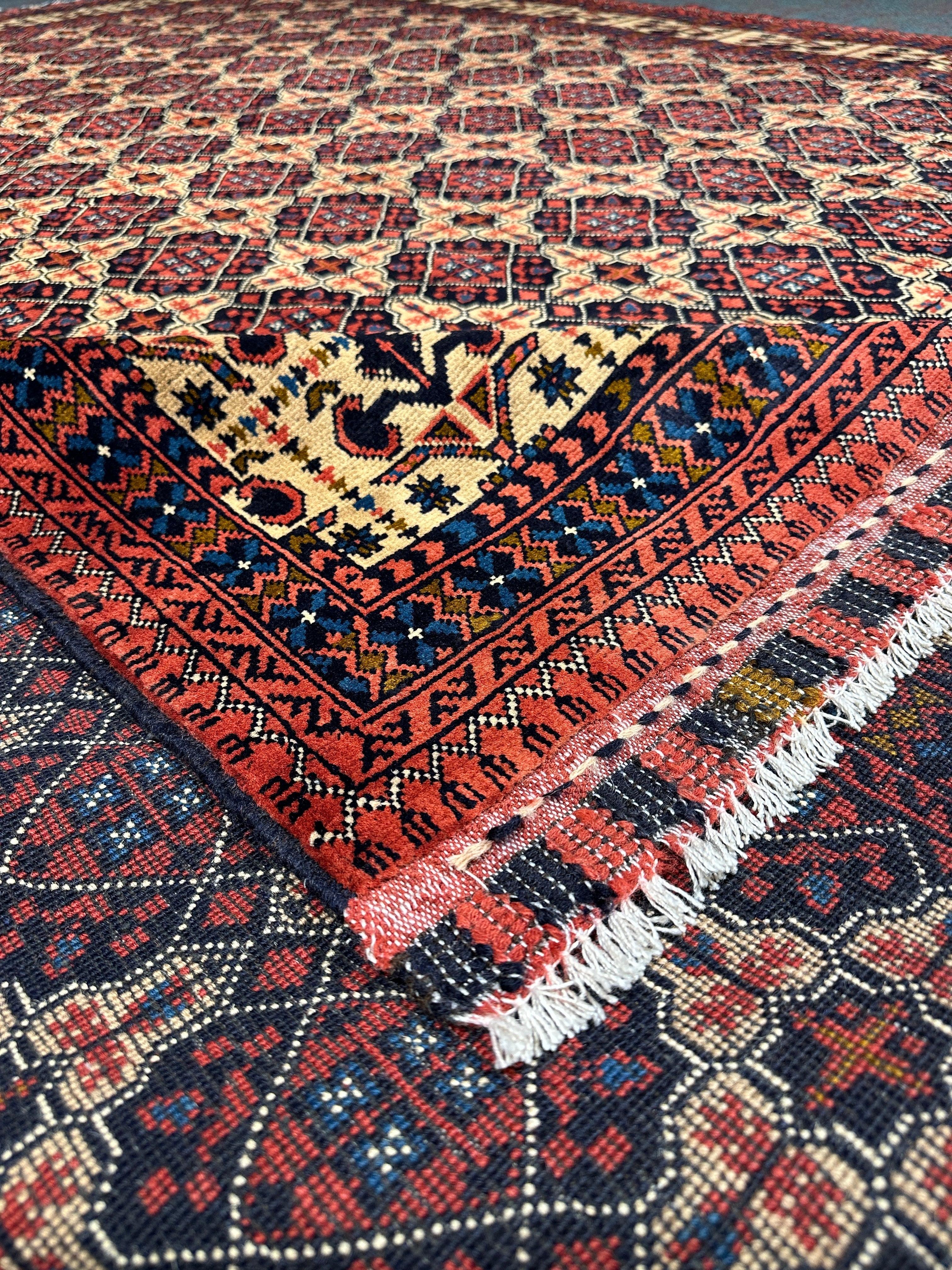 Kunduz Rug  - 345 cm x 244 cm