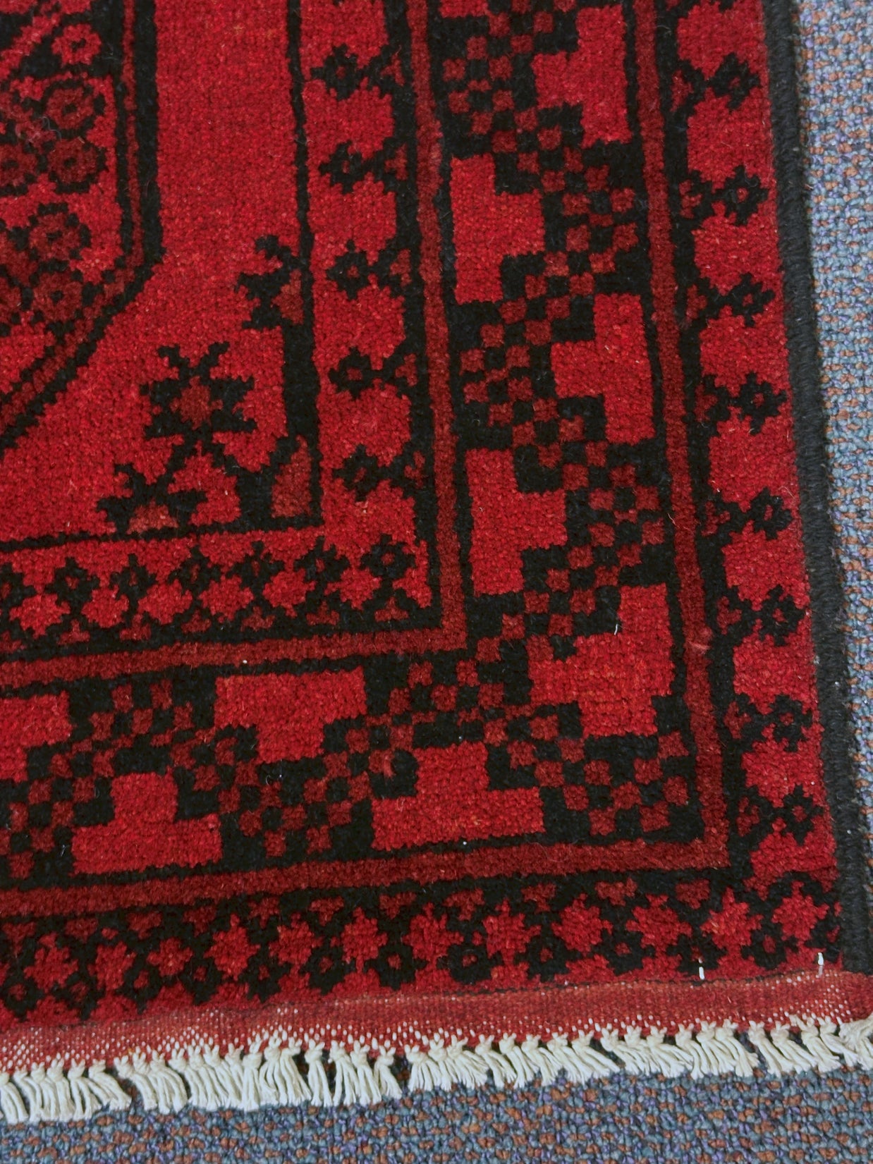 Turkoman Rug - 462 cm x 83 cm