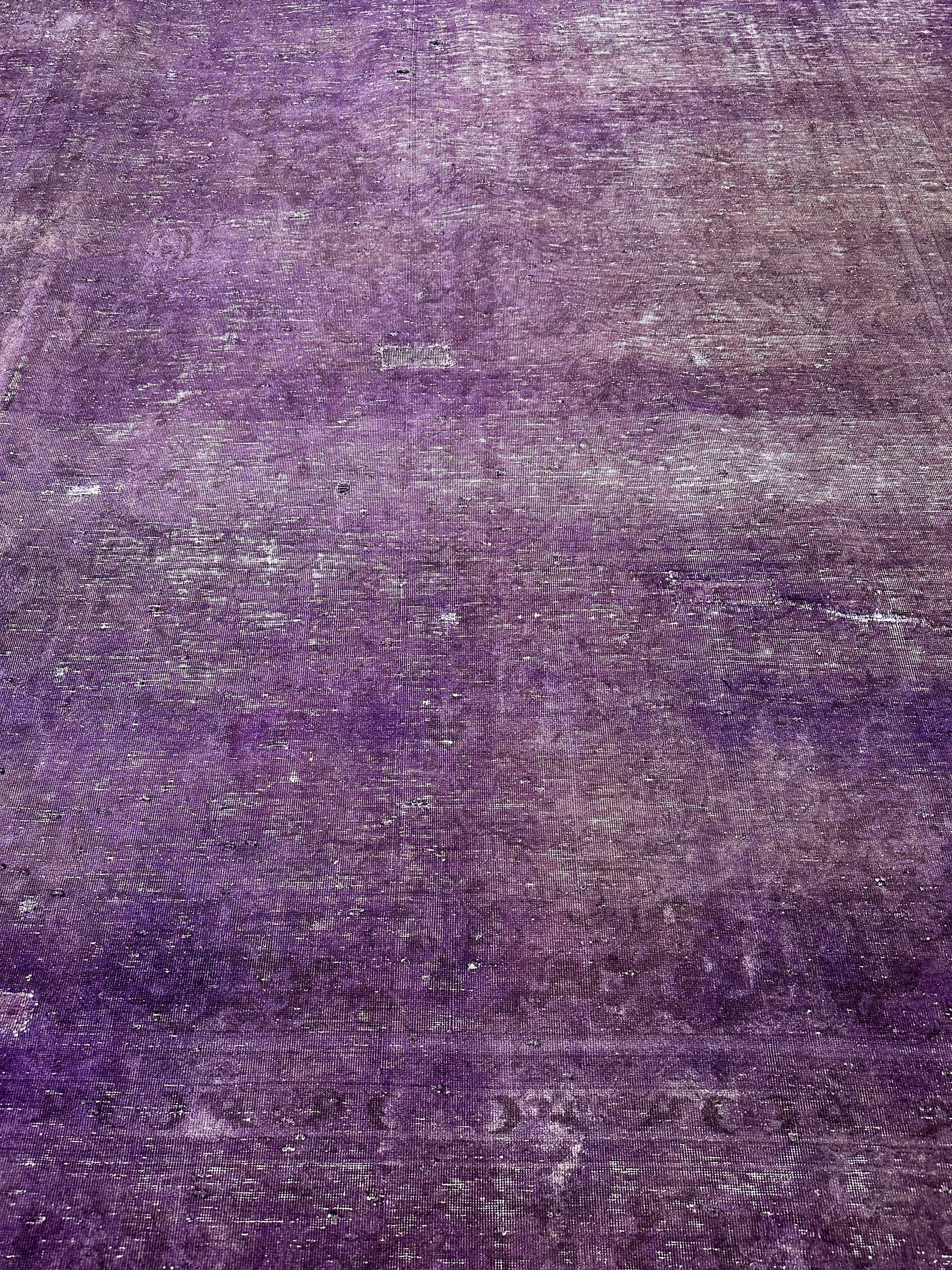 Overdye Rug  - 480 cm x 272 cm