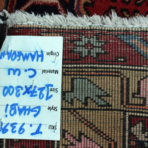 Hamadan Rug  - 300 cm x 127 cm