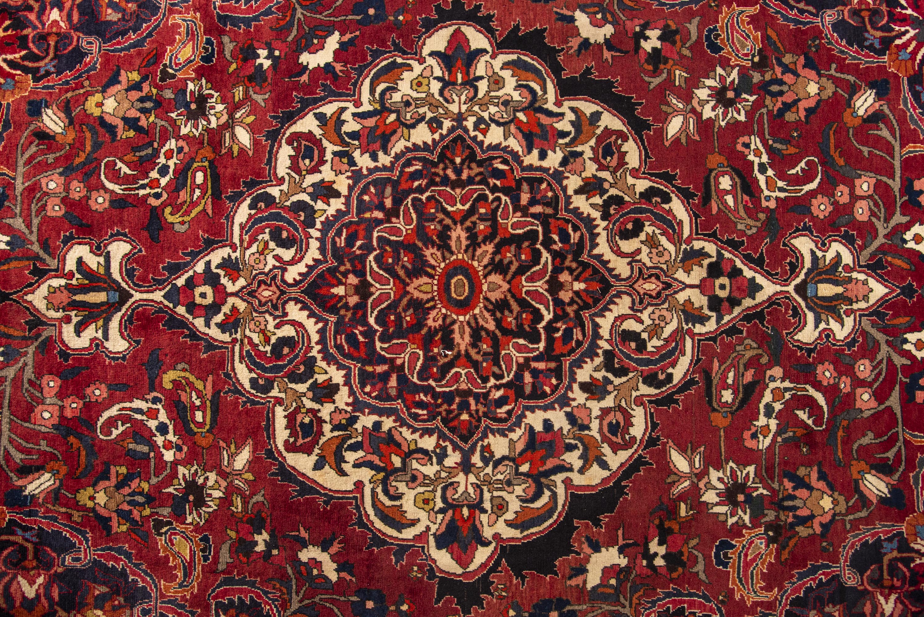 Bakhtiari Rug - 297 cm x 205 cm