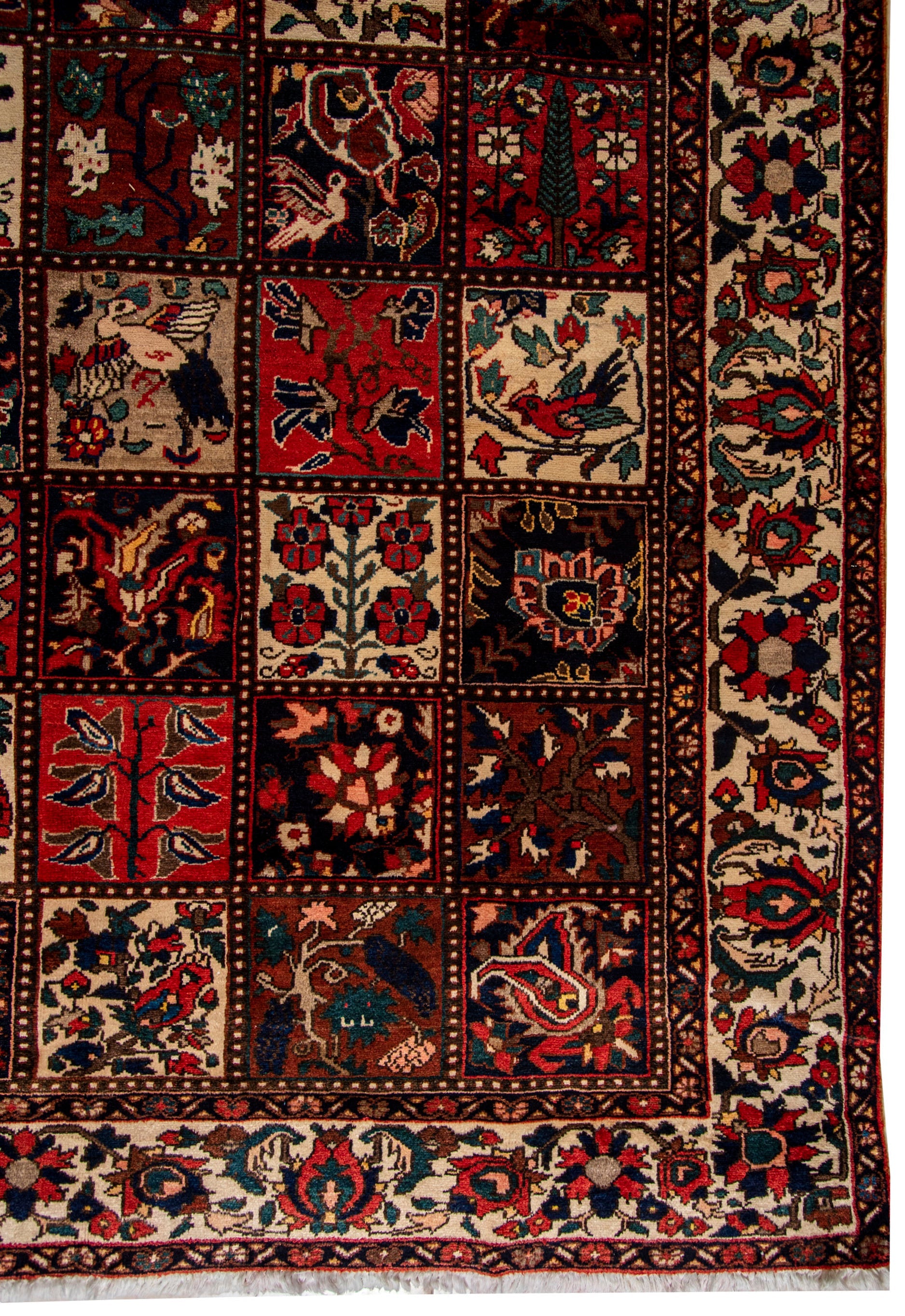 Bakhtiari Rug - 308 cm x 212 cm
