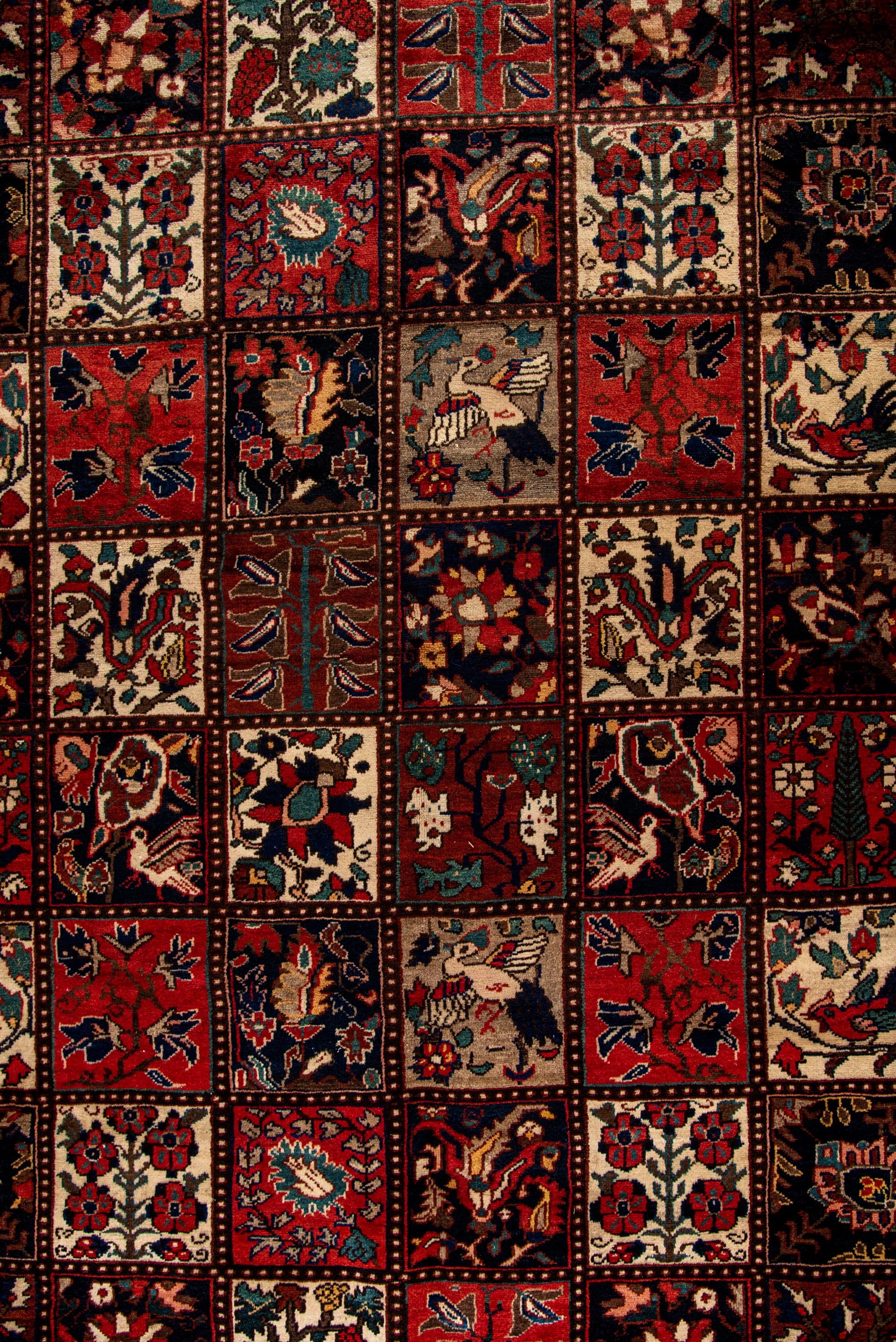 Bakhtiari Rug - 308 cm x 212 cm